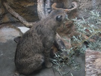 20100206 524.JPG